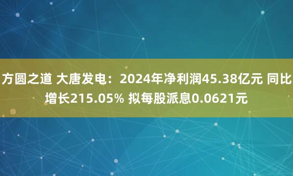 方圆之道 大唐发电：2024年净利润45.38亿元 同比增长215.05% 拟每股派息0.0621元
