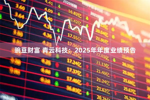 豌豆财富 青云科技：2025年年度业绩预告