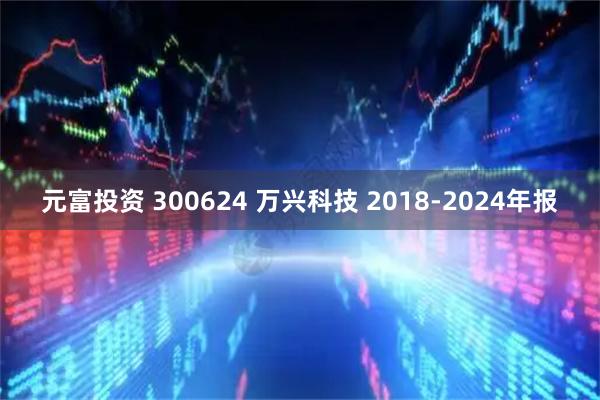 元富投资 300624 万兴科技 2018-2024年报