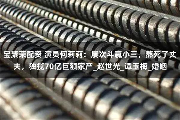 宝聚荣配资 演员何莉莉：屡次斗赢小三，熬死了丈夫，独揽70亿巨额家产_赵世光_谭玉梅_婚姻